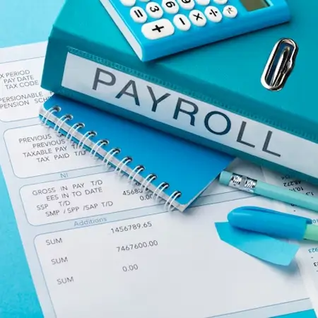 professional payroll services in london